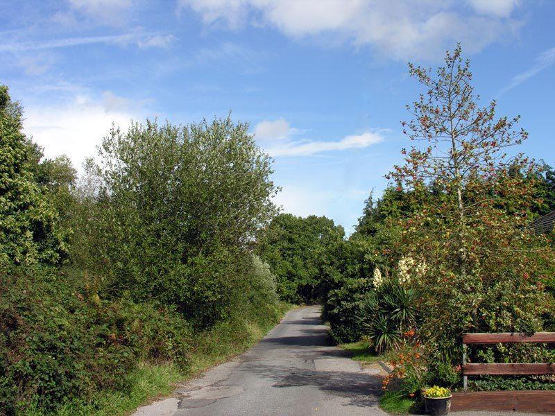 Abacus Bed And Breakfast, Blackwater, Hampshire Camberley Eksteriør billede